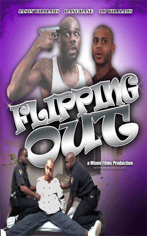 Box Art for Flipping Out